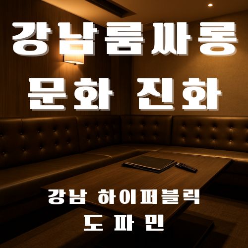 강남룸싸롱 문화 진화