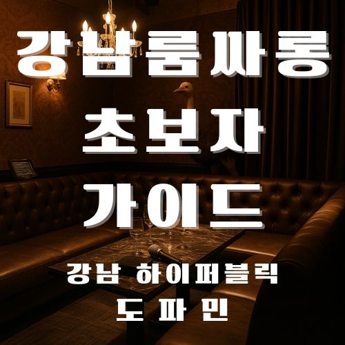 강남룸싸롱 초보자 가이드